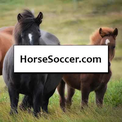 HorseSoccer.com