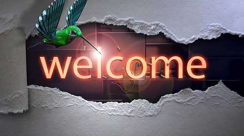 Welcome top domain blog