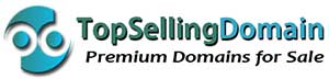 TopSellingDomain Logo